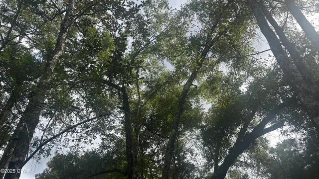 $59,900 | 0 Strickland Road, Ebro, FL 32437