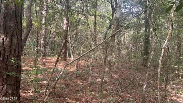 $45,900 | 0 Strickland Road, Ebro, FL 32437