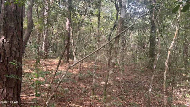 $59,900 | 0 Strickland Road, Ebro, FL 32437