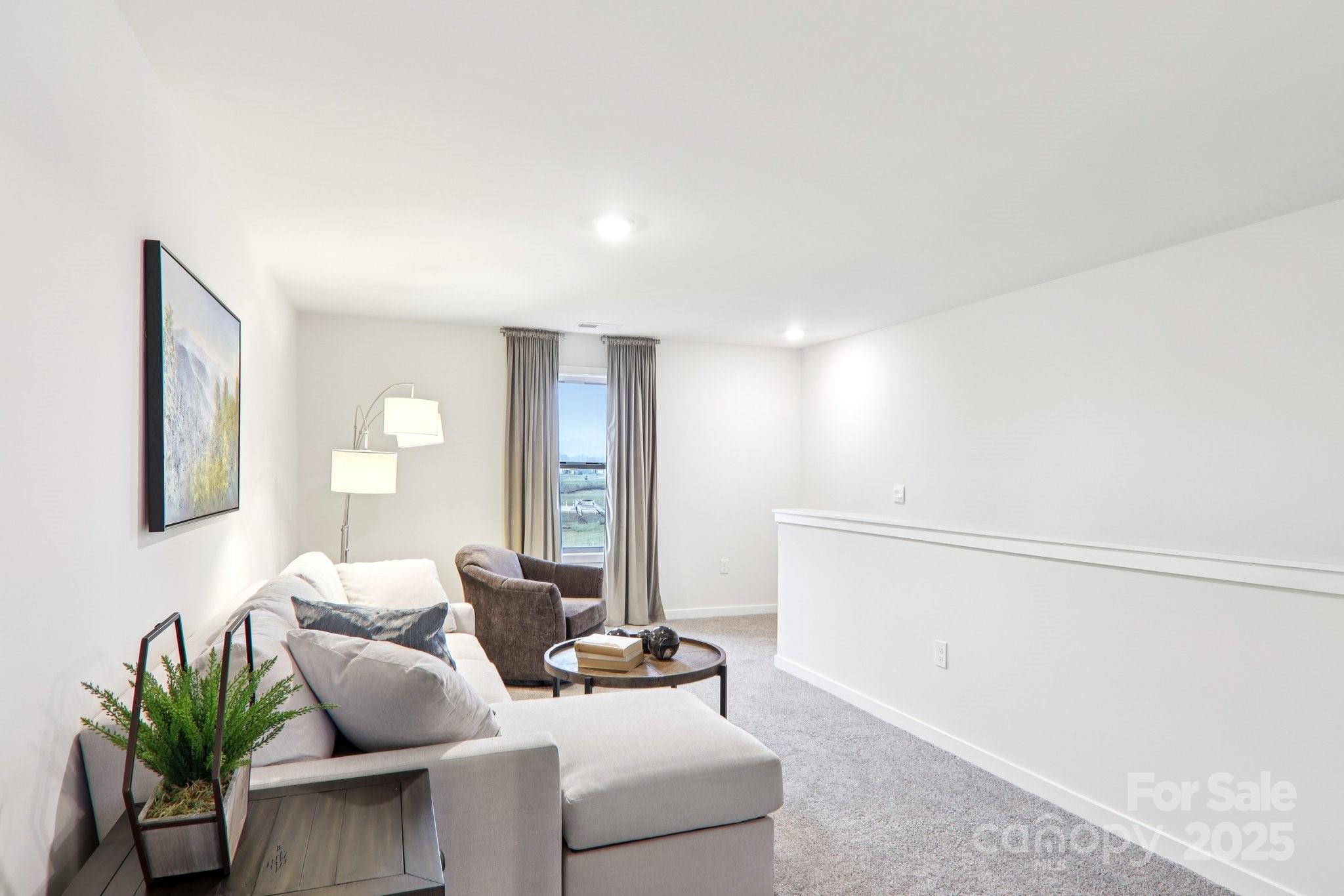 623 River Btm Road Fletcher, NC 28732 - Photo 36 of 48 a living room with furniture and a potted plant