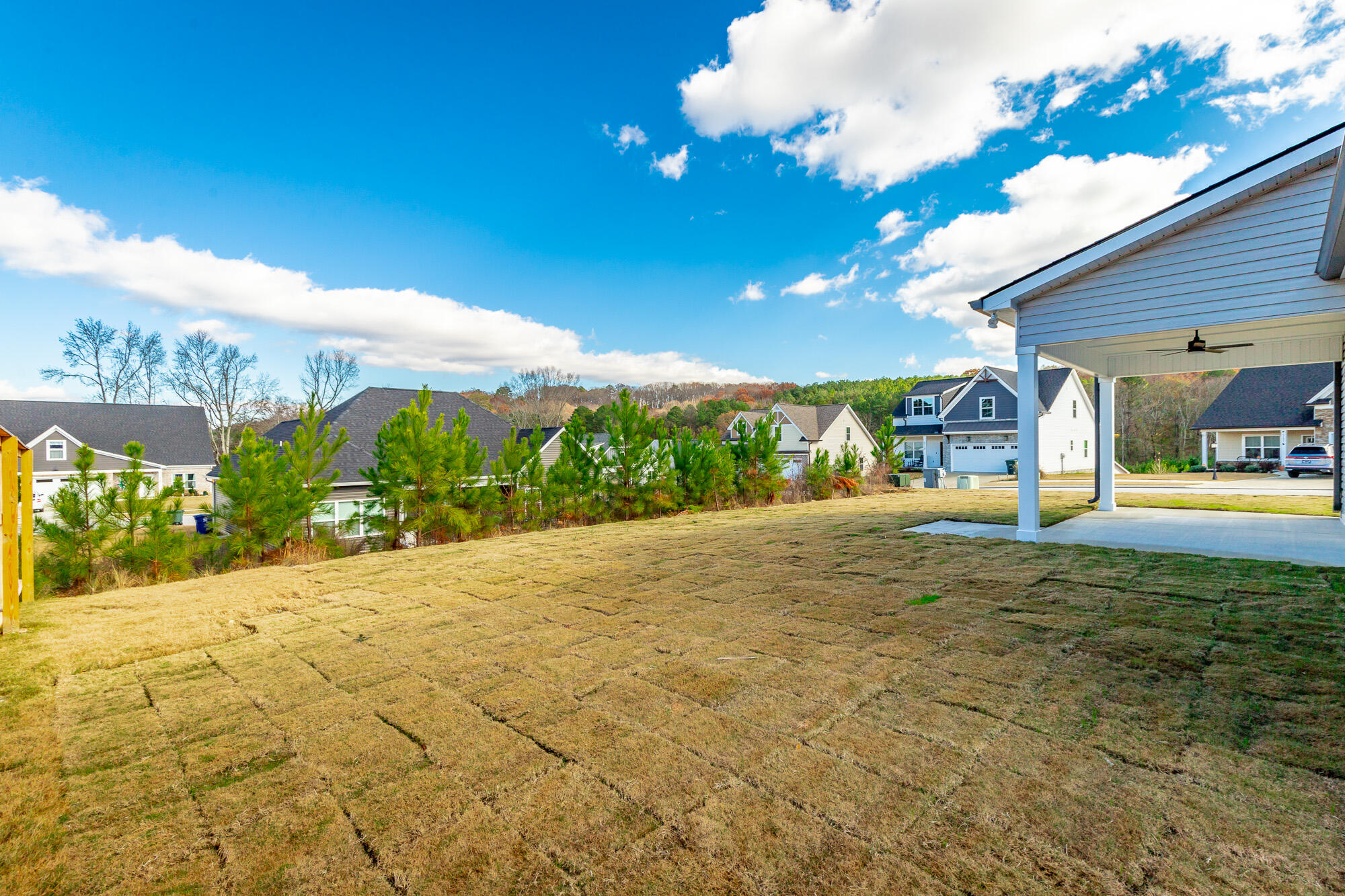 5085 Oop Road, Unit 34 Chattanooga, TN 37416 - Photo 64 of 69 Back Yard