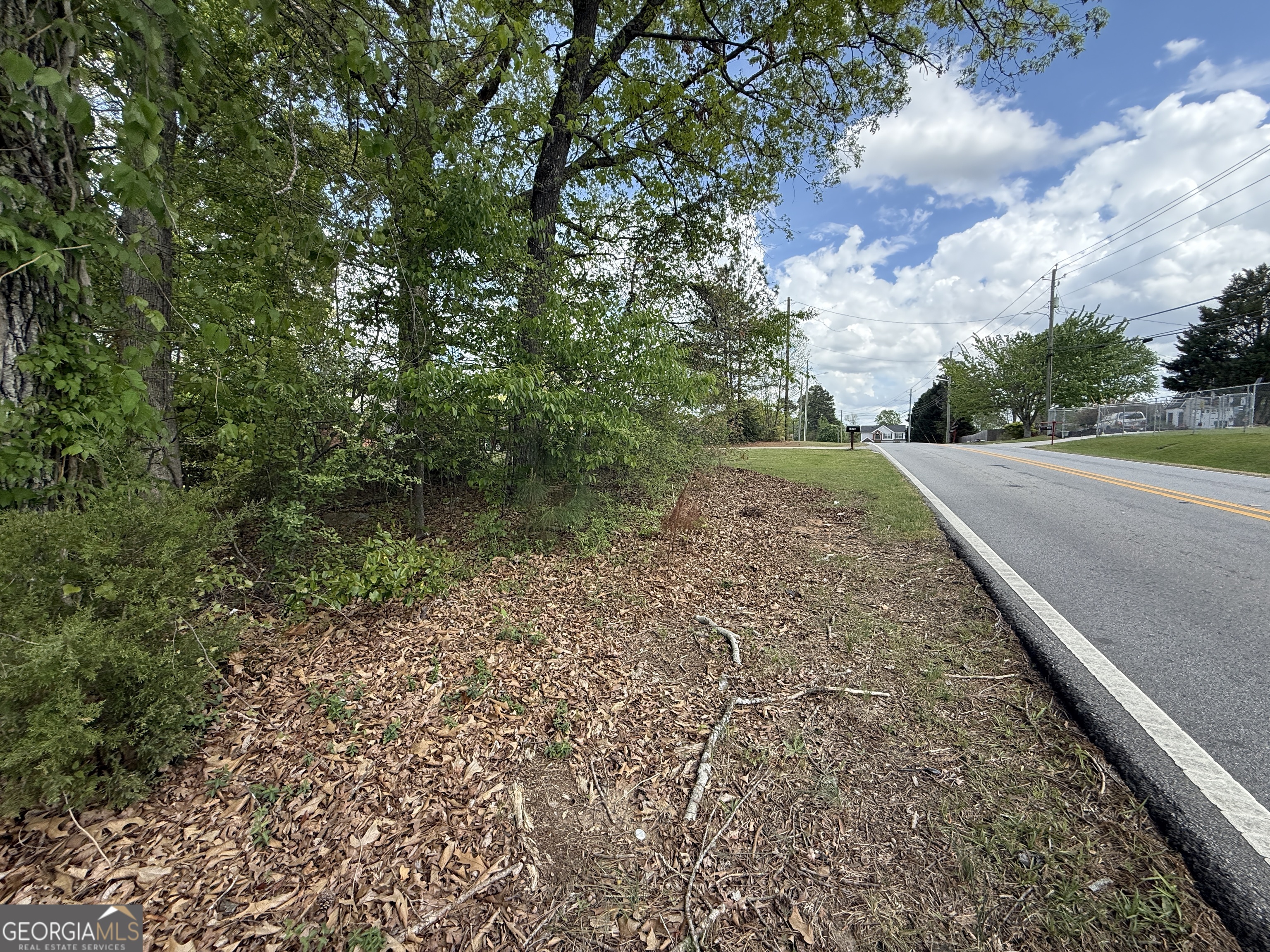 1868 Cedar Grove Road Conley, GA 30288 - Photo 11 of 19 a view of a yard with plants and trees