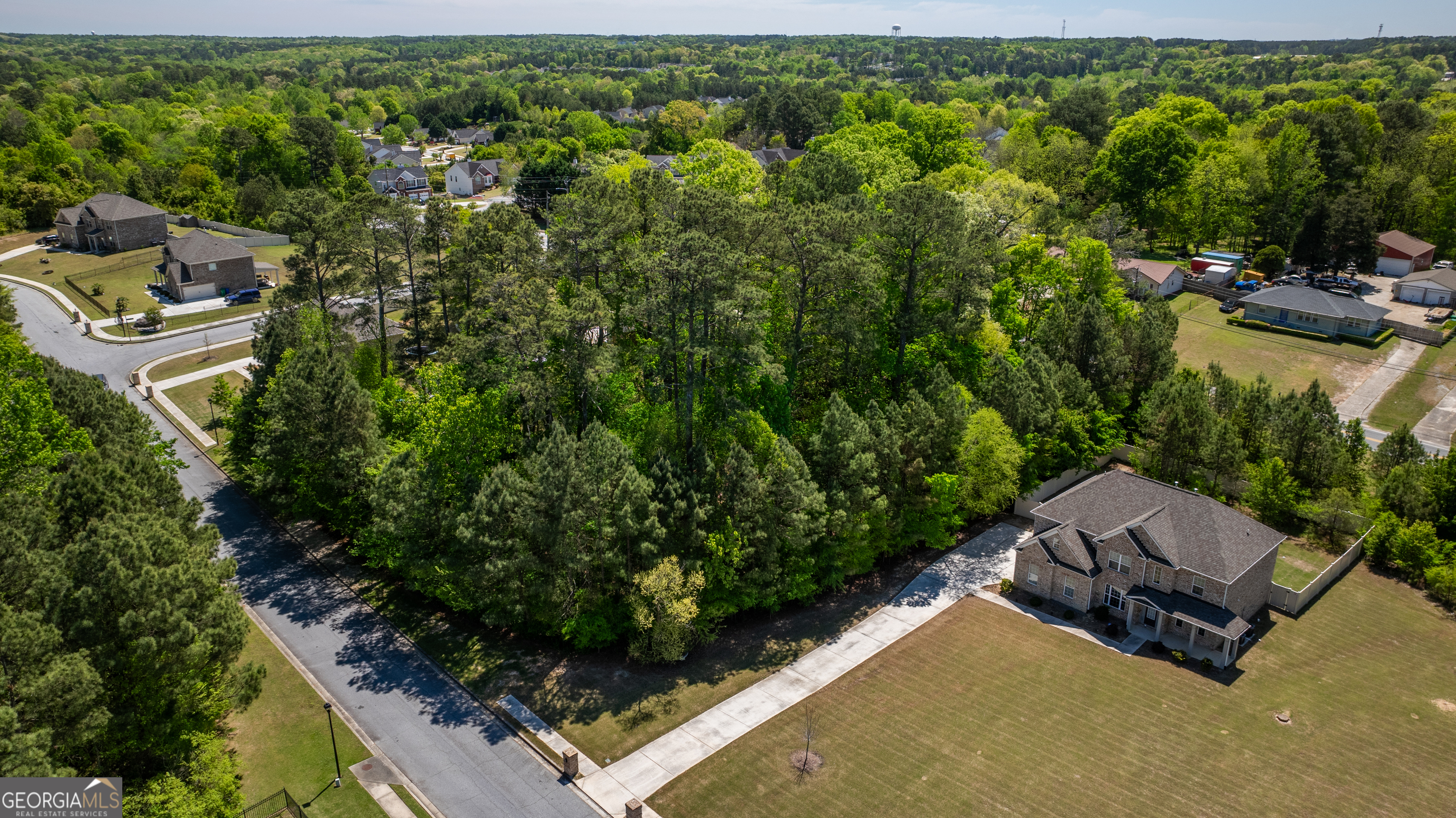 1868 Cedar Grove Road Conley, GA 30288 - Photo 16 of 19 an aerial view of a garden with plants