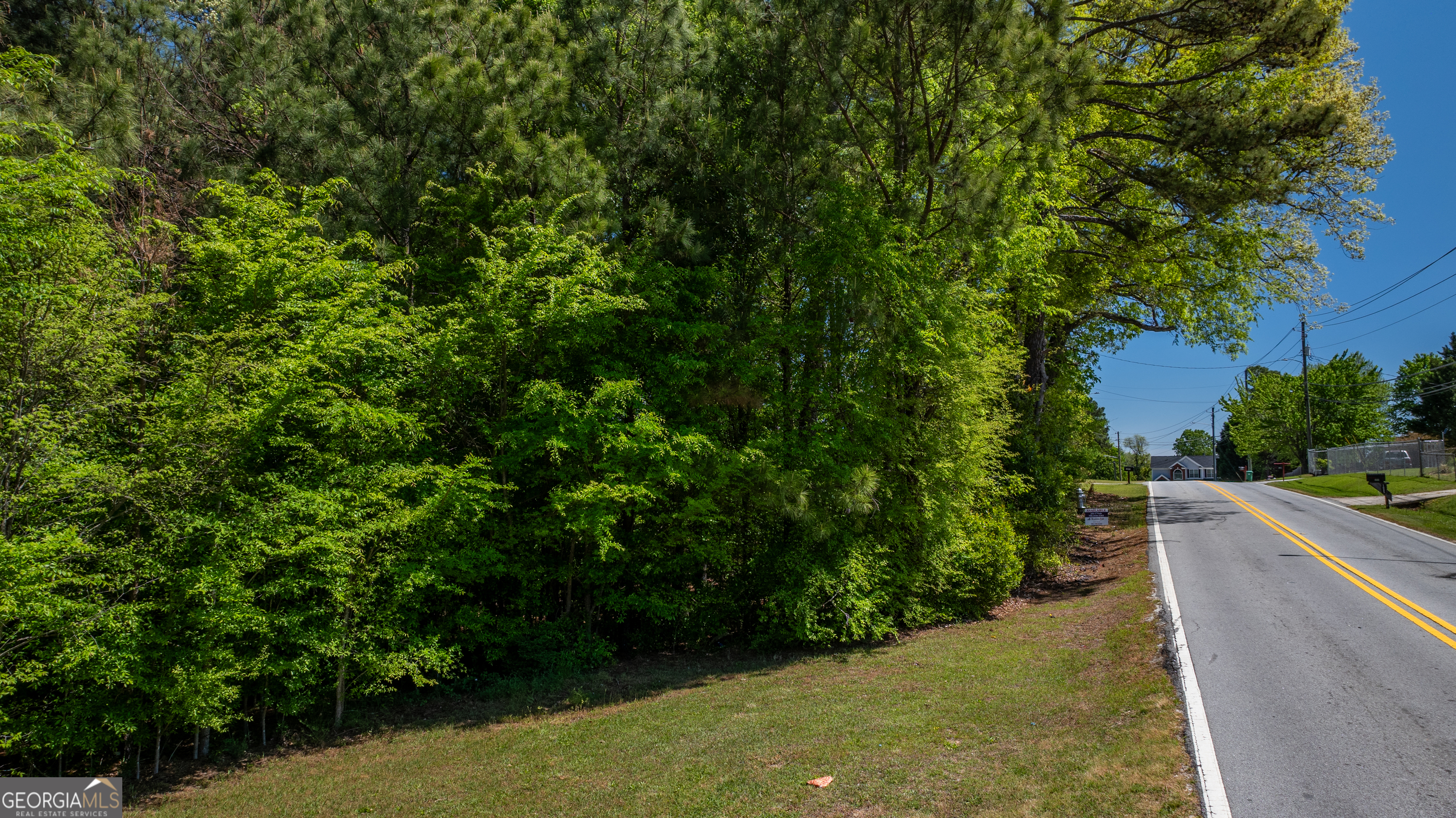 1868 Cedar Grove Road Conley, GA 30288 - Photo 17 of 19 a view of a yard with plants and large trees