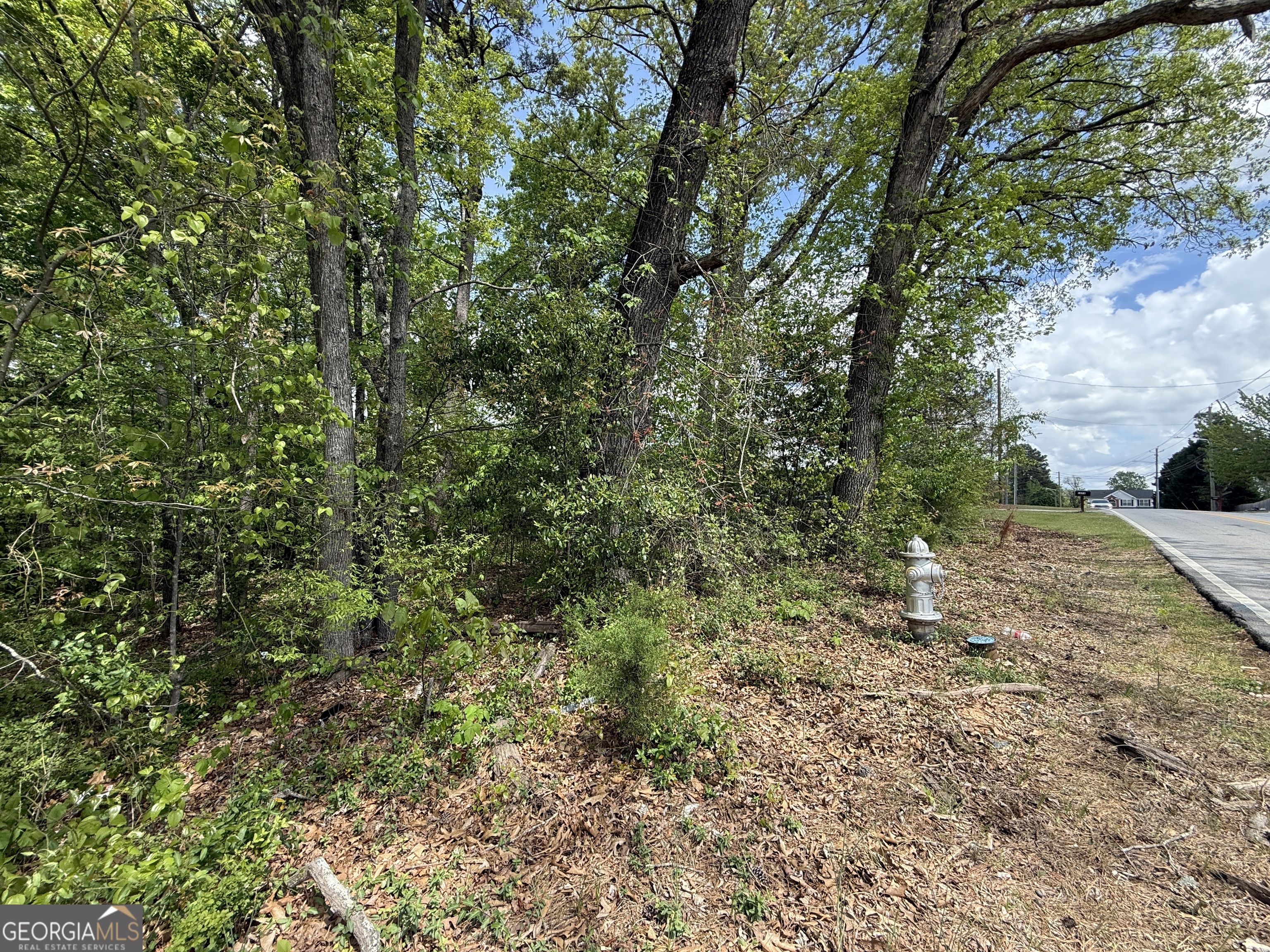 1868 Cedar Grove Road Conley, GA 30288 - Photo 5 of 19 a view of a forest with a tree