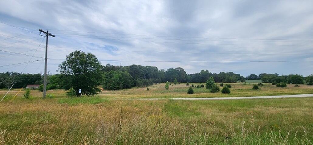 761 Bentley Town Road Union, SC 29379 - Photo 11 of 15 761 Bentley Town Rd (18)