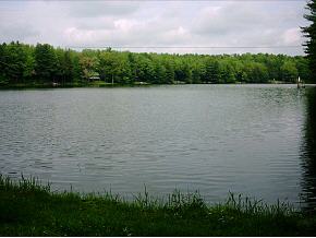 Lot#24 Thunder Lake Road Greene, NY 13778 - Photo 2 of 4 Gallery Image 2
