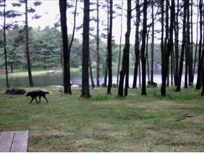Lot#24 Thunder Lake Road Greene, NY 13778 - Photo 3 of 4 Gallery Image 3