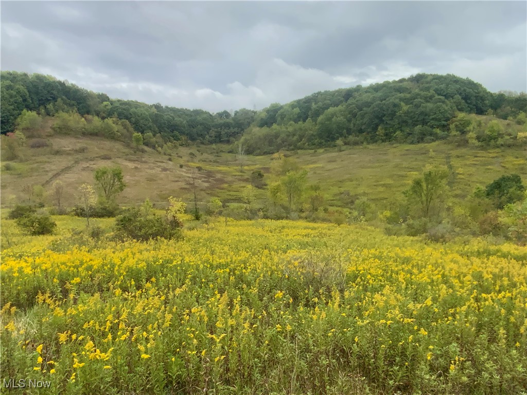 Taylor Road Dennison, OH 44621 - Photo 14 of 27 View of nature with a wooded view
