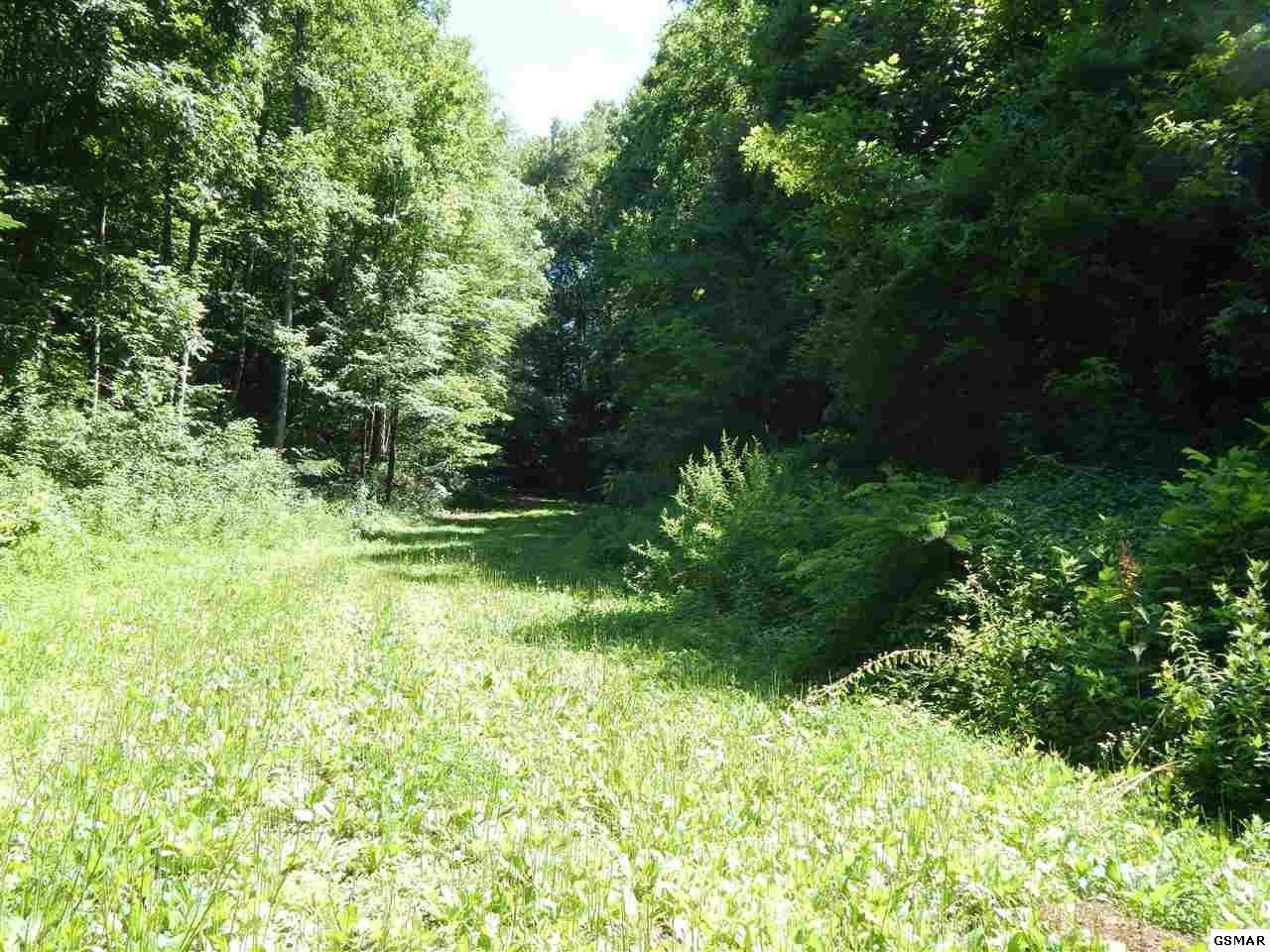 53 Pea Hollow Road Sevierville, TN 37876 - Photo 18 of 18 Gallery Image 18