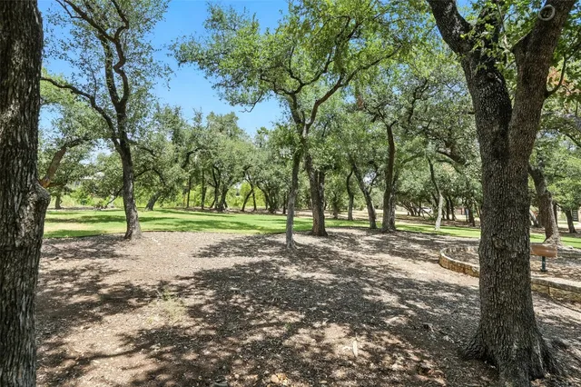 a view of a trees with a yard