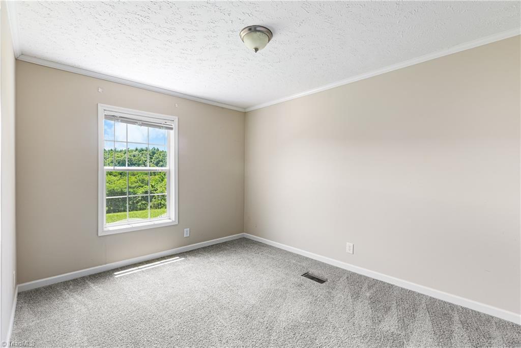 173 Old Lowgap Road Mount Airy, NC 27030 - Photo 24 of 43 Gallery Image 24