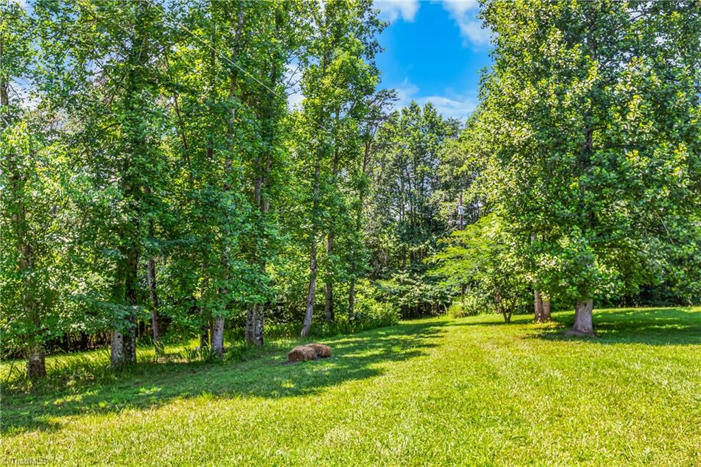 173 Old Lowgap Road Mount Airy, NC 27030 - Photo 38 of 43 Gallery Image 38