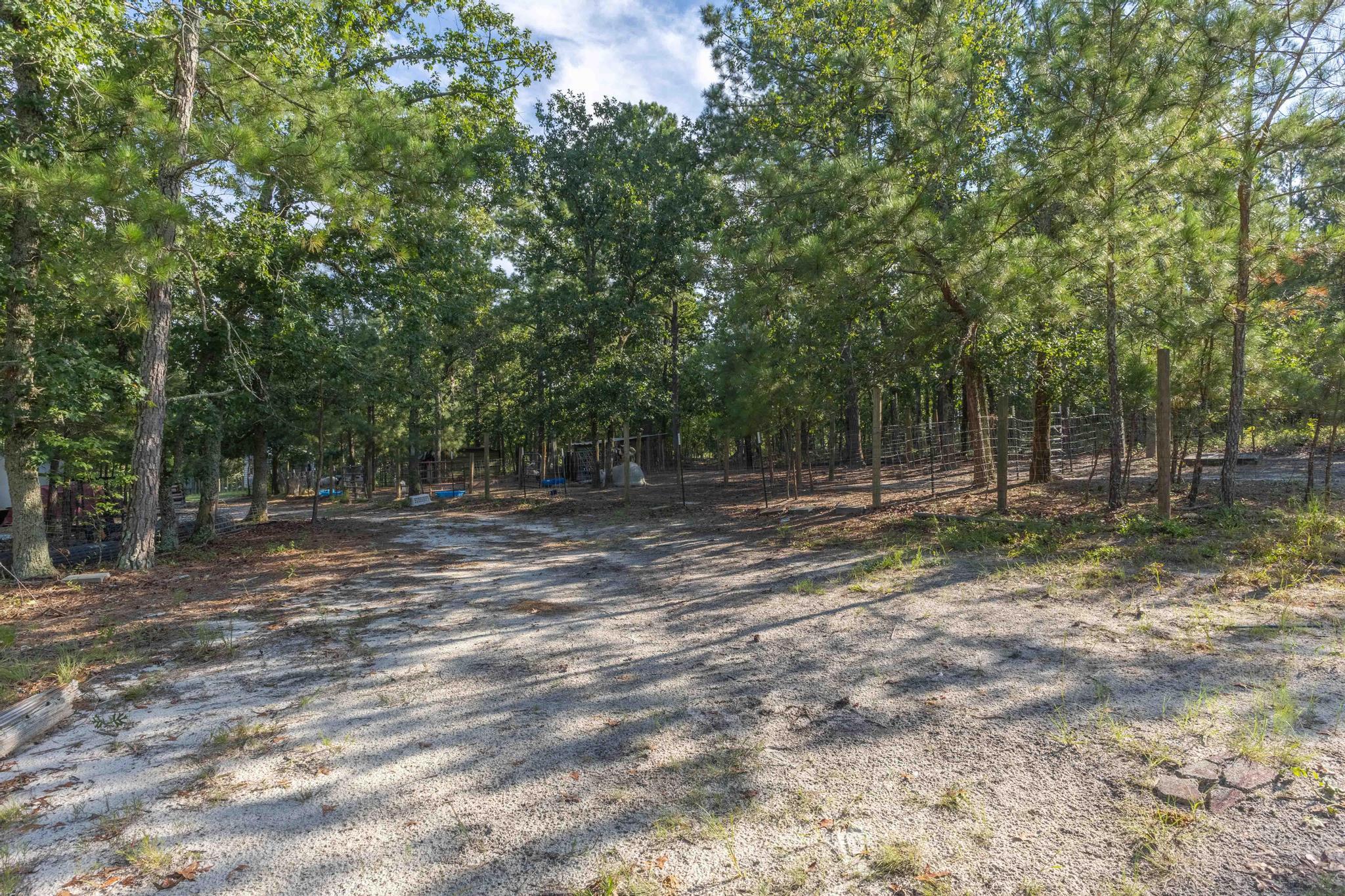 730 Springfield Church Road Aiken, SC 29801 - Photo 17 of 18 Gallery Image 17