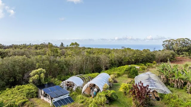 $795,000 | 32-520 Piha Kahuku Road, Laupahoehoe, HI 96764