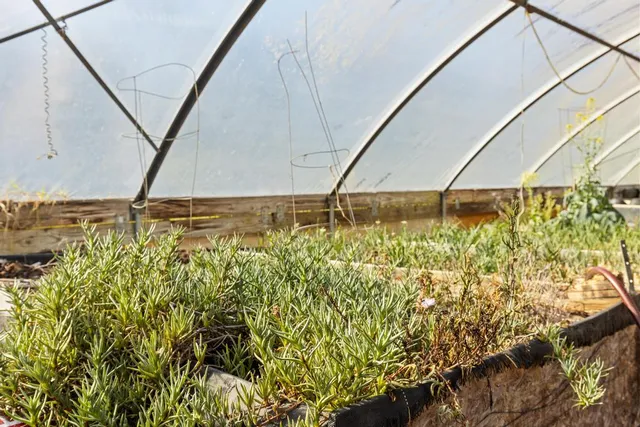 $795,000 | 32-520 Piha Kahuku Road, Laupahoehoe, HI 96764