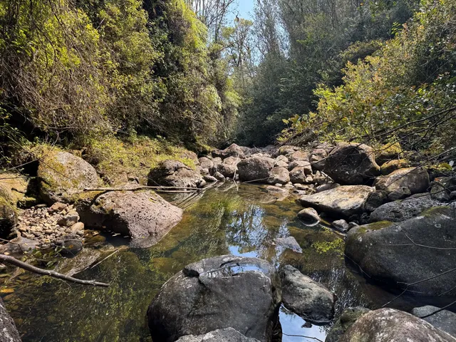 $795,000 | 32-520 Piha Kahuku Road, Laupahoehoe, HI 96764