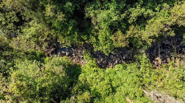 $795,000 | 32-520 Piha Kahuku Road, Laupahoehoe, HI 96764