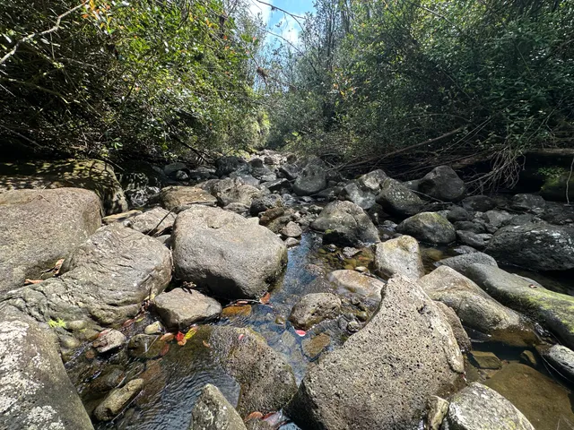 $795,000 | 32-520 Piha Kahuku Road, Laupahoehoe, HI 96764