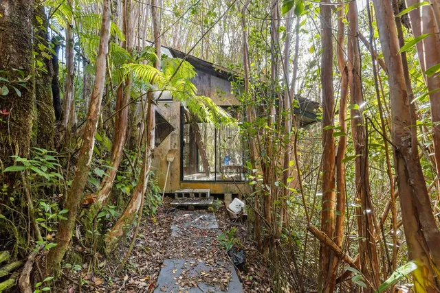 $795,000 | 32-520 Piha Kahuku Road, Laupahoehoe, HI 96764