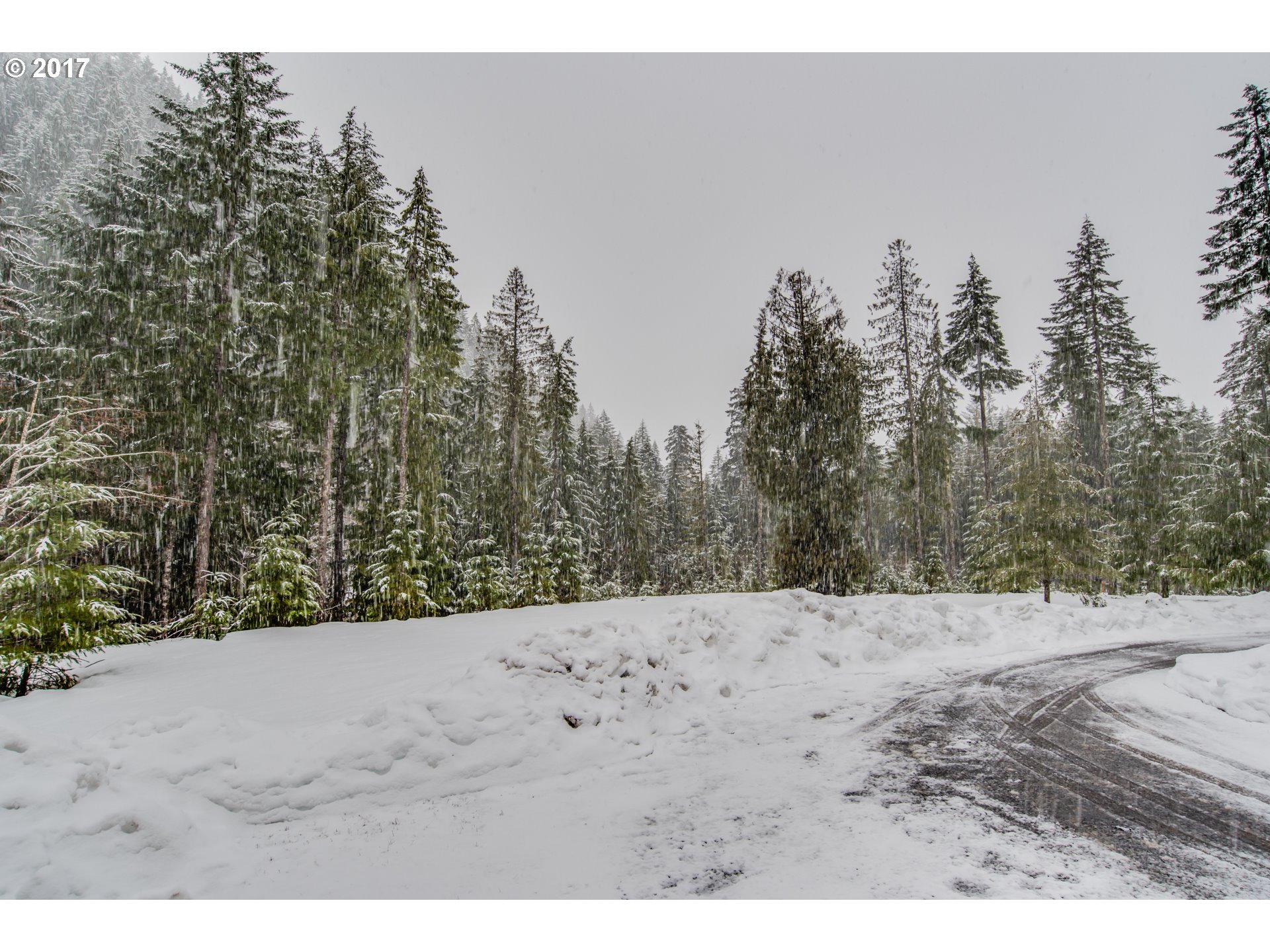 262 Cedar Creek Road Carson, WA 98610 - Photo 30 of 32 Gallery Image 30