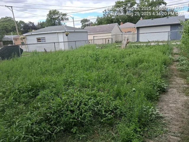 a view of a back yard