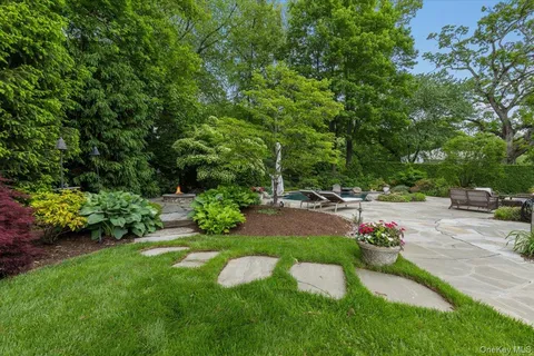 a view of a garden with potted plants