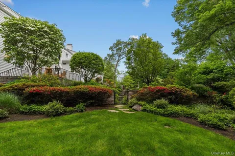 a view of a street with a tree