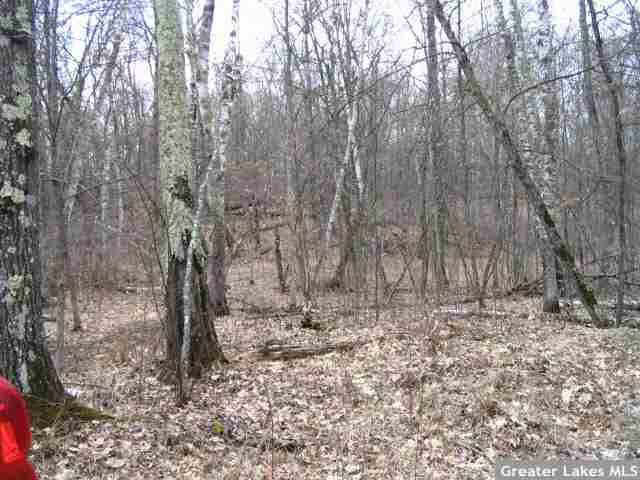 17539 Dullum Road Brainerd, MN 56401 - Photo 11 of 11 Gallery Image 11