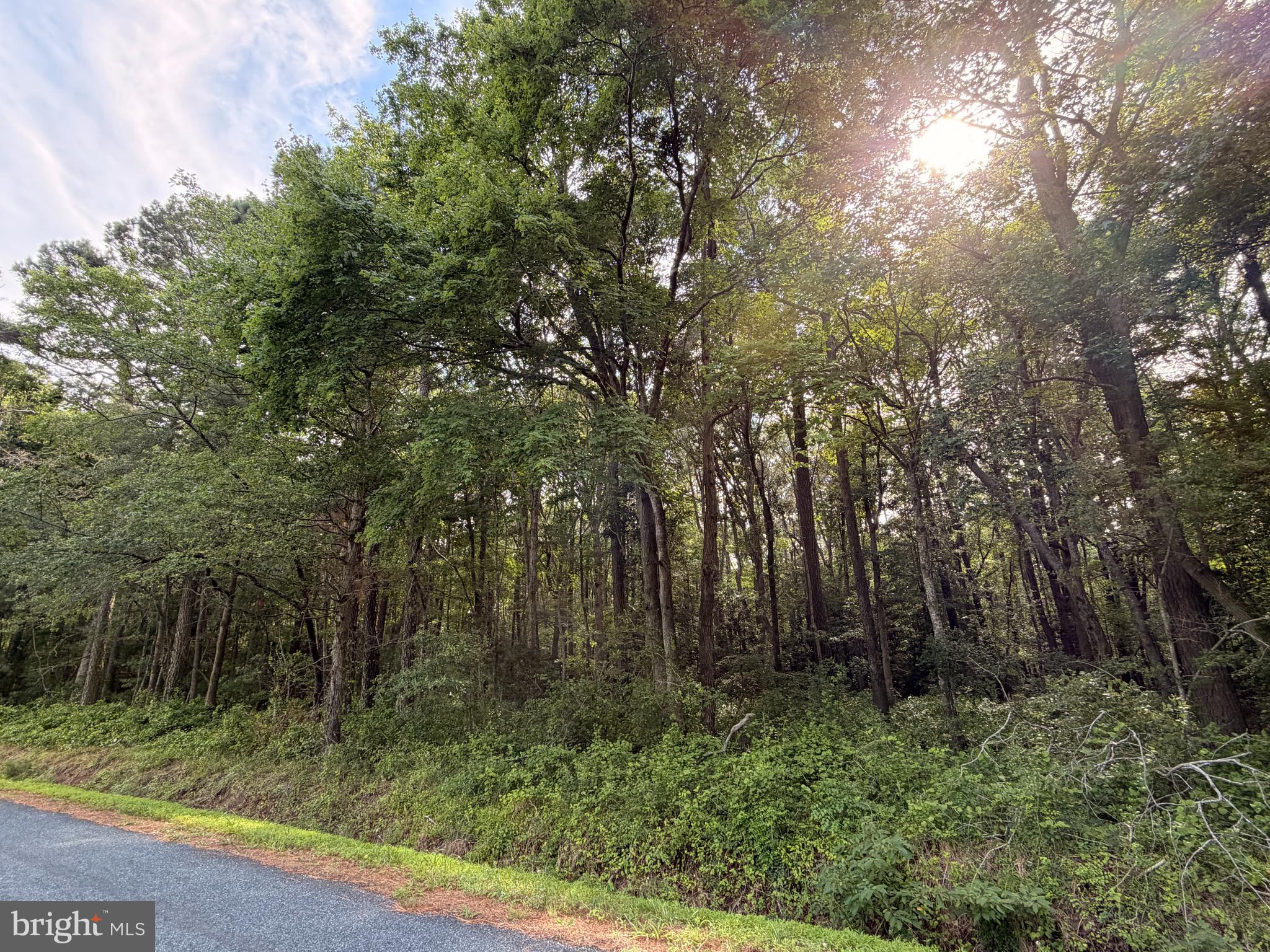 0 Bivens Road Marion Station, MD 21838 - Photo 4 of 5