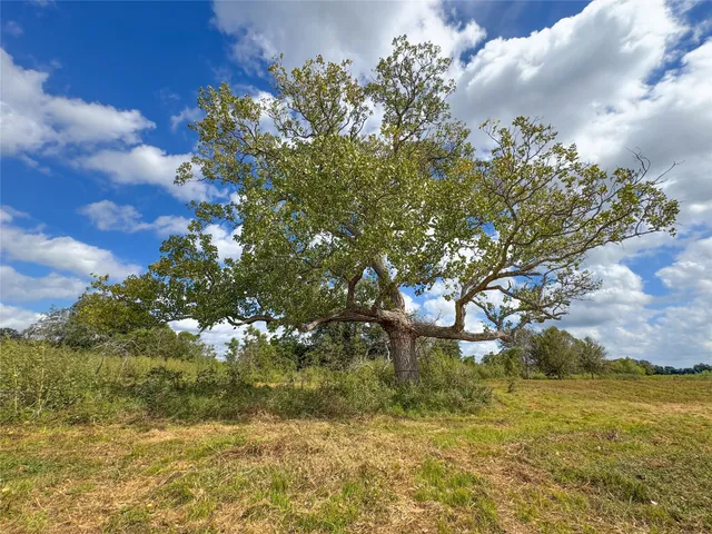 a backyard of a house with lots of green space