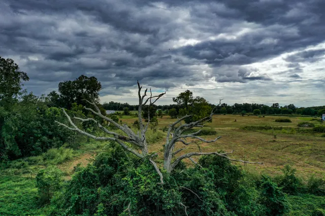 a view of a lake with a yard