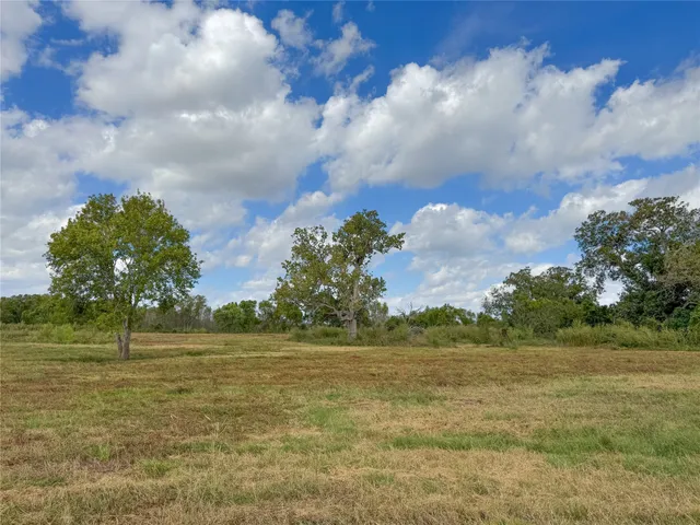 a view of a big yard