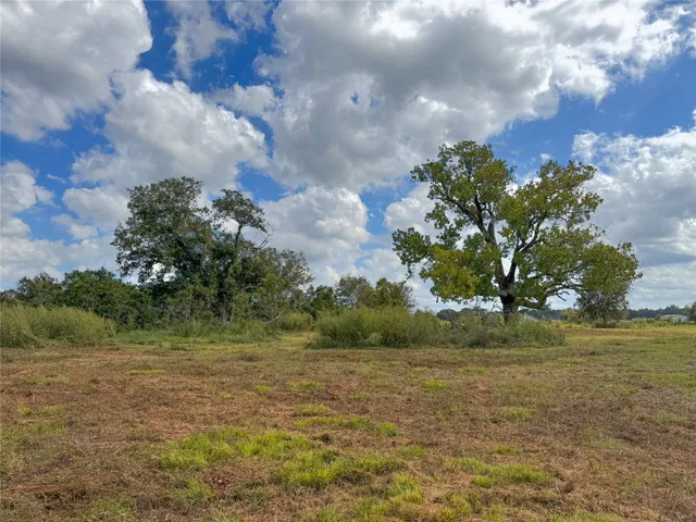 a view of a yard with an trees