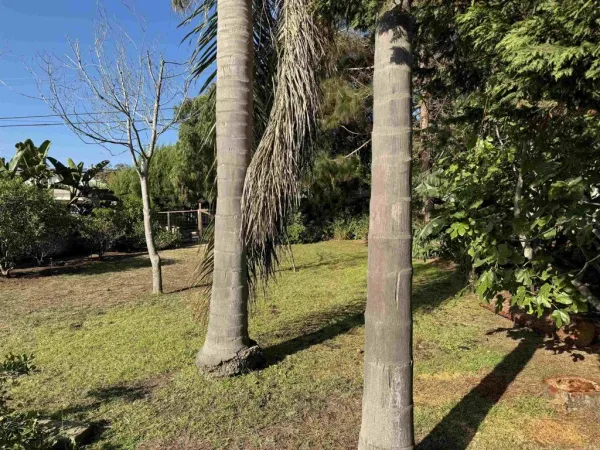 $5,975 | 4444 Orchard Avenue, San Diego, CA 92107