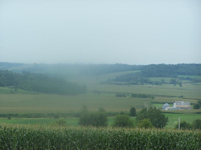 Tbd Elmoville Road Stockton, IL 61085 - Photo 2 of 4 a view of a field of grass and trees