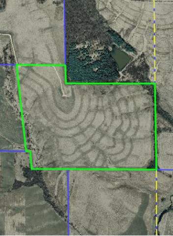 Tbd Elmoville Road Stockton, IL 61085 - Photo 4 of 4