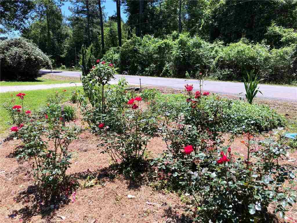373 Booster Wright Road Elmer, LA 71424 - Photo 16 of 19 Gallery Image 16