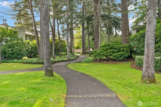 a view of a park with a tree