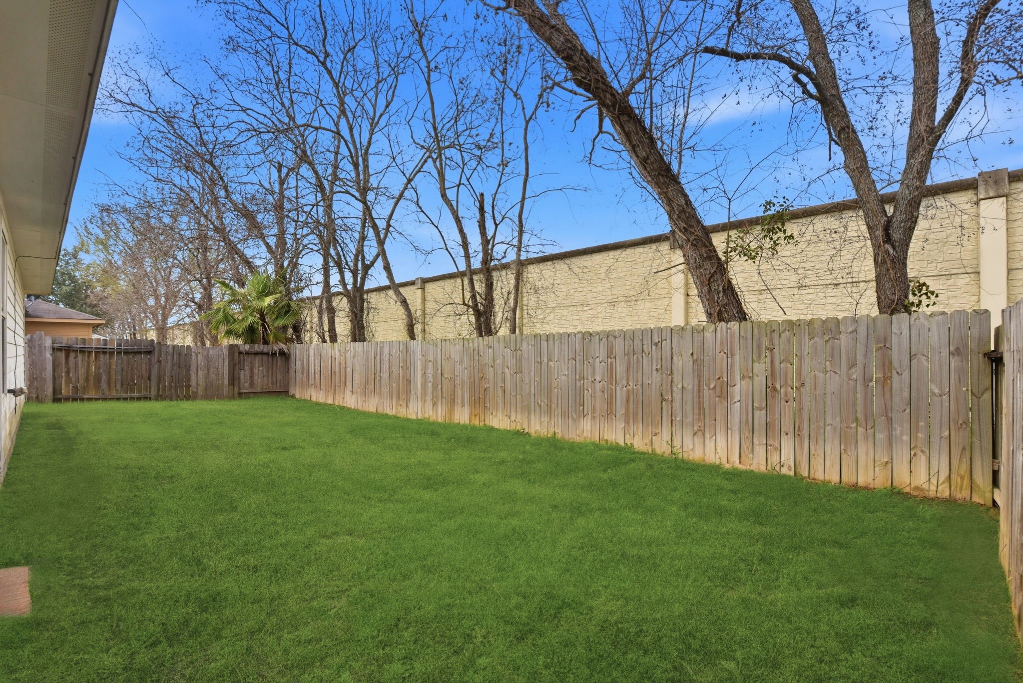 19013 Hammer Lane Porter, TX 77365 - Photo 33 of 35 a view of backyard with tree