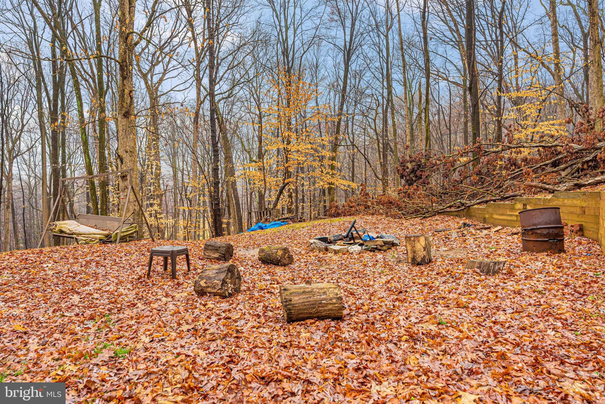 4517 Elmer Derr Road Frederick, MD 21703 - Photo 45 of 48 Rear Yard
