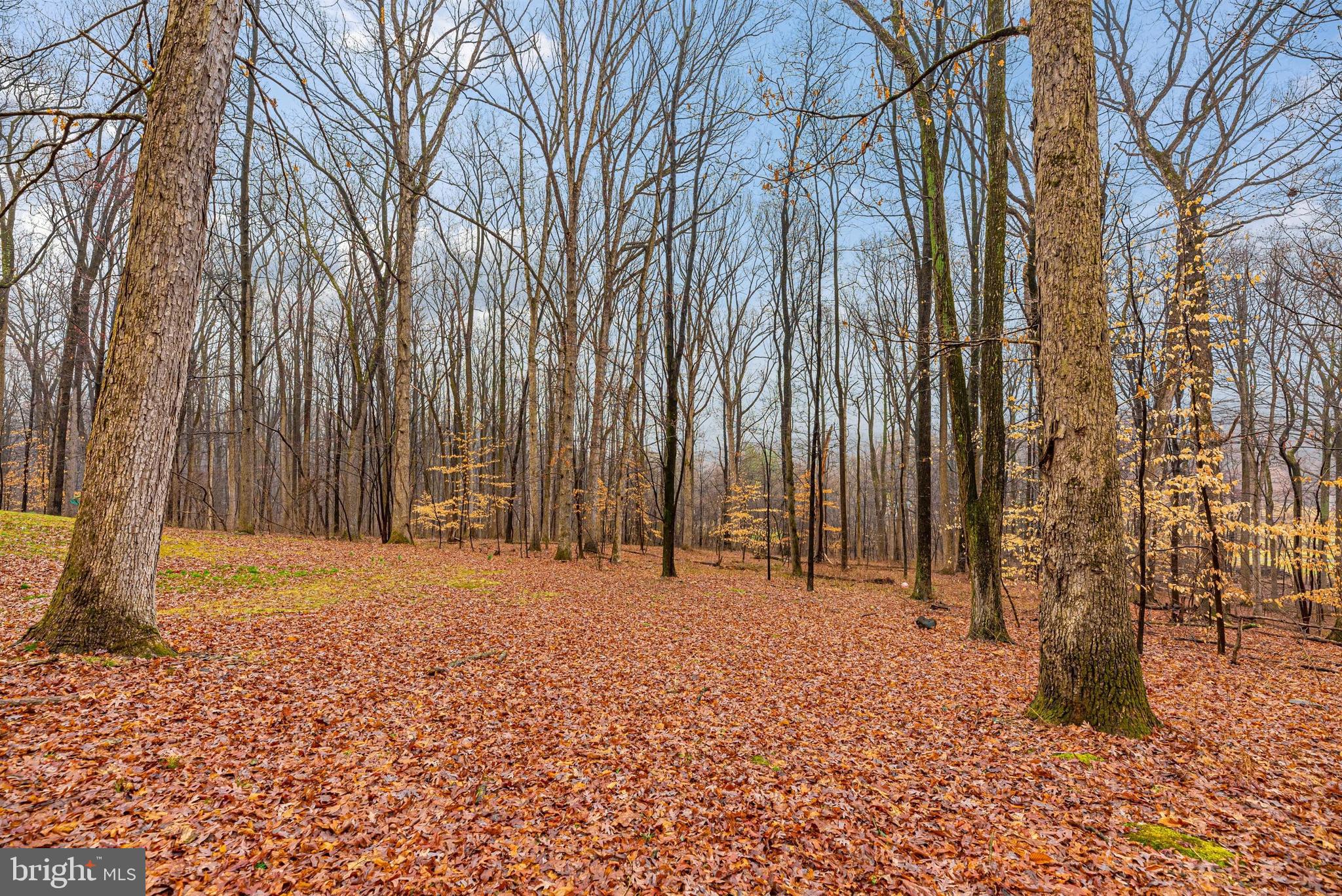 4517 Elmer Derr Road Frederick, MD 21703 - Photo 46 of 48 Rear Yard