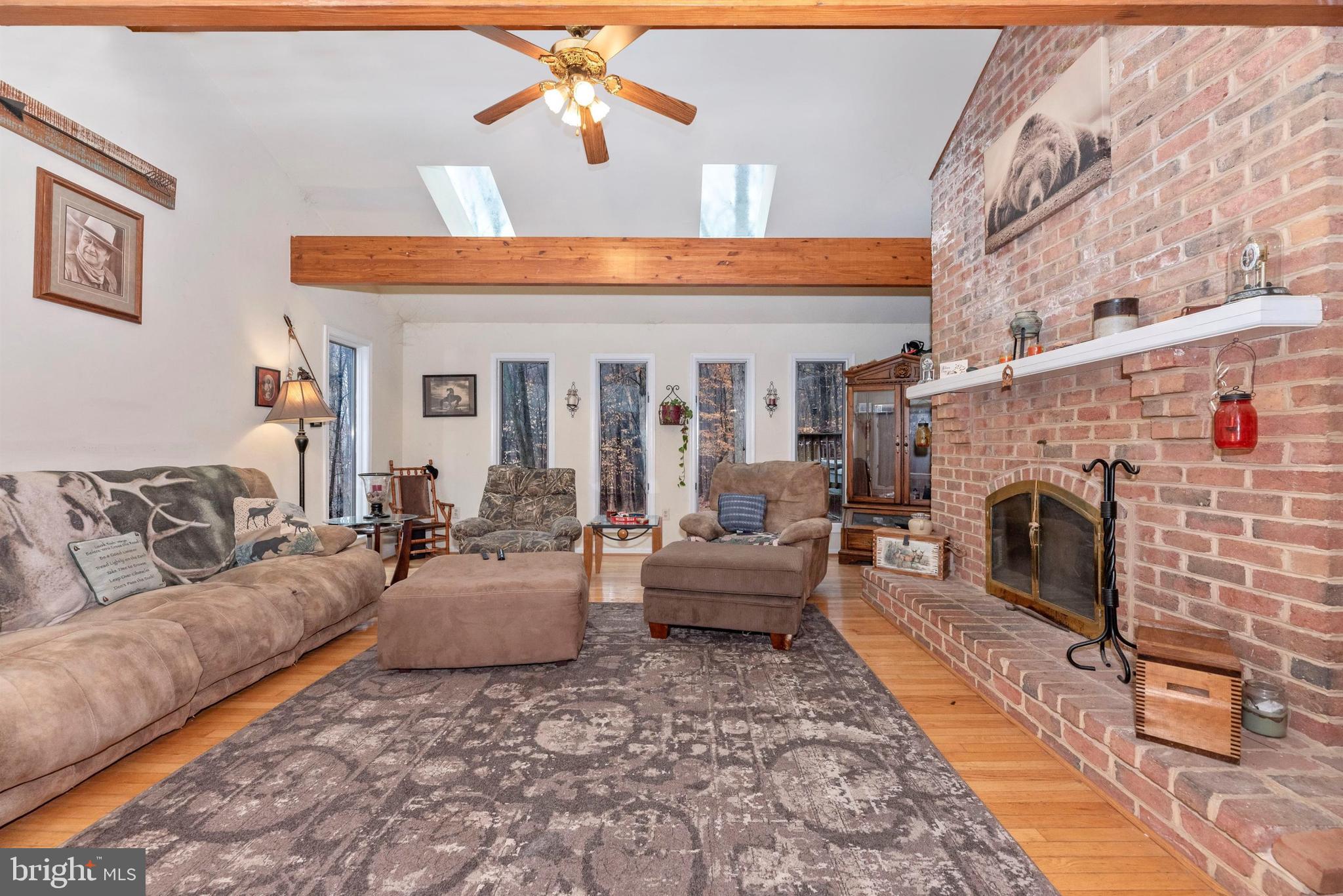 4517 Elmer Derr Road Frederick, MD 21703 - Photo 8 of 48 Family Rm has Skylights & Plenty of Natural Light