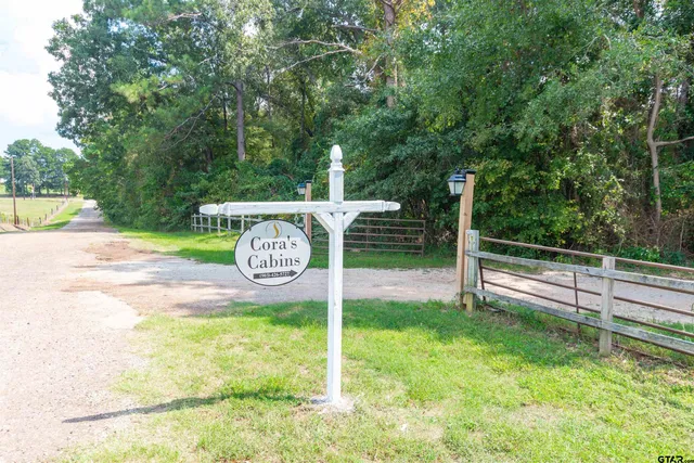 a view of backyard with trampoline