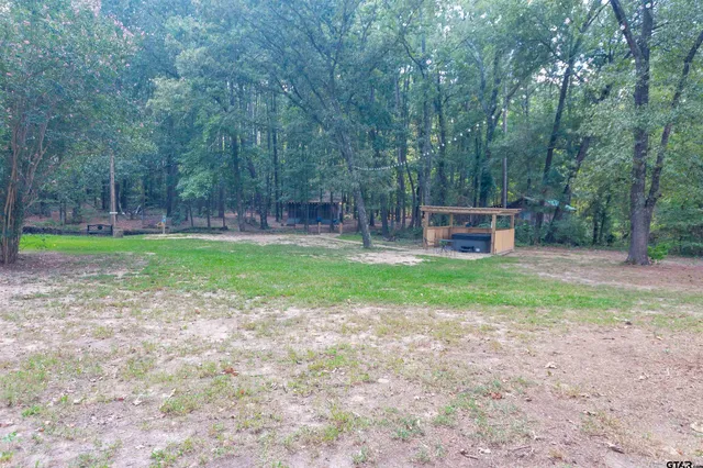 a view of a park with large trees
