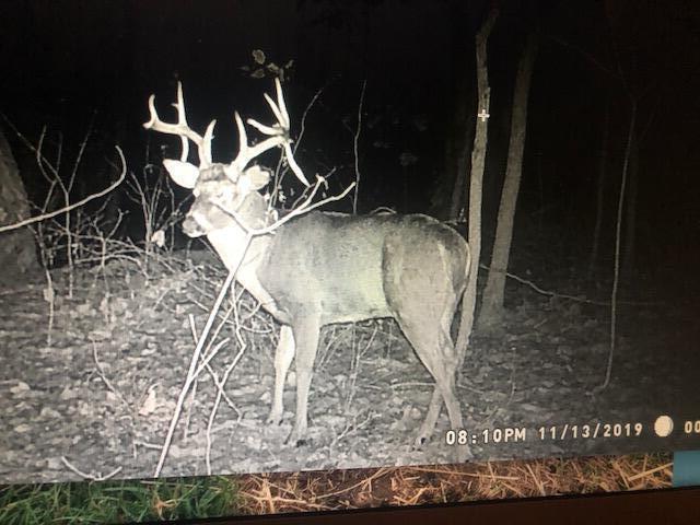 5825 Pen Road Junction City, OH 43748 - Photo 44 of 45 Gallery Image 44
