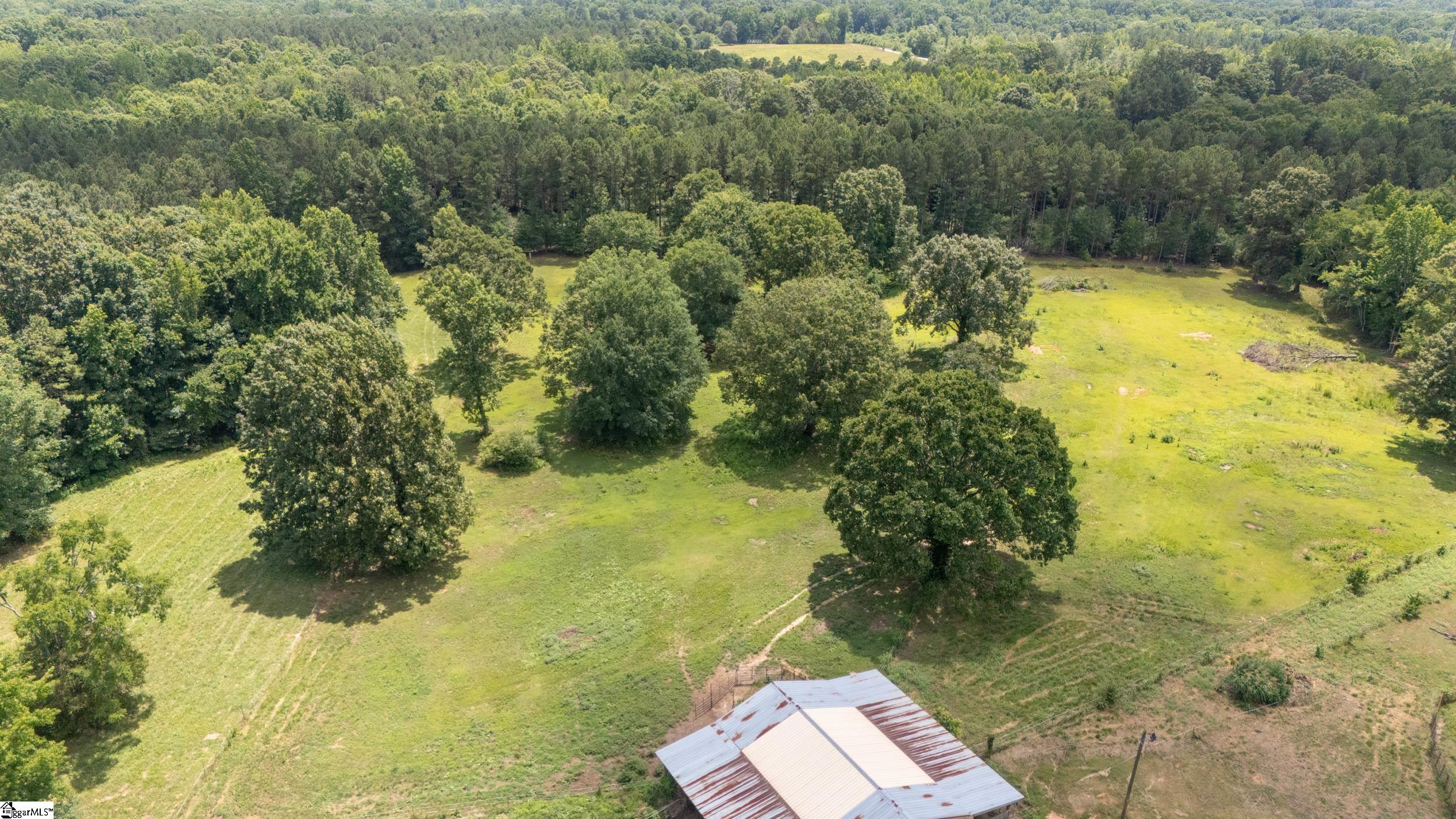 0 Poole Road Clinton, SC 29325 - Photo 6 of 14