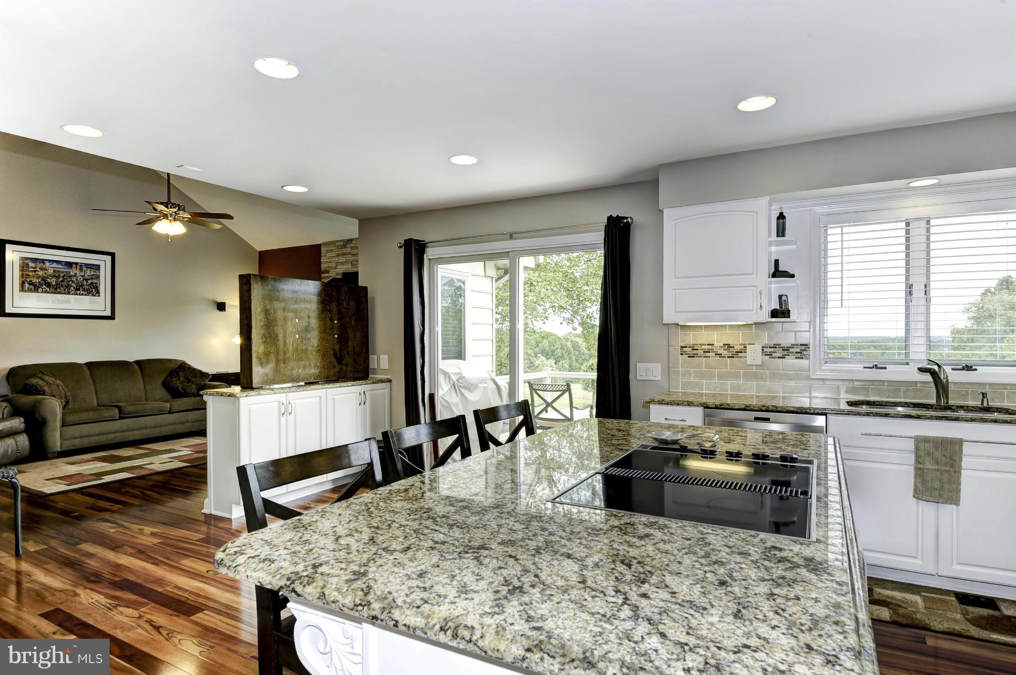 22701 Wildcat Road Germantown, MD 20876 - Photo 11 of 30 Kitchen with view of breakfast area and Great Room