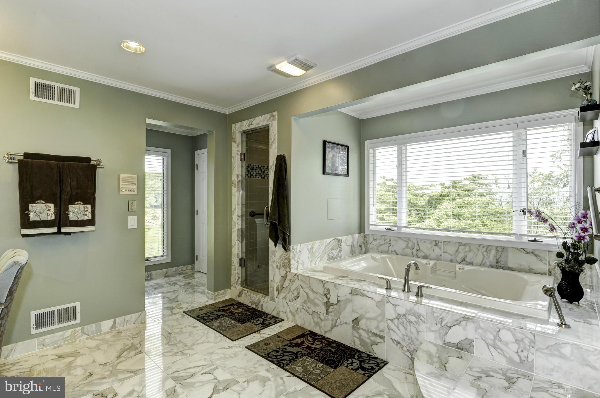 22701 Wildcat Road Germantown, MD 20876 - Photo 18 of 30 Private owners bath