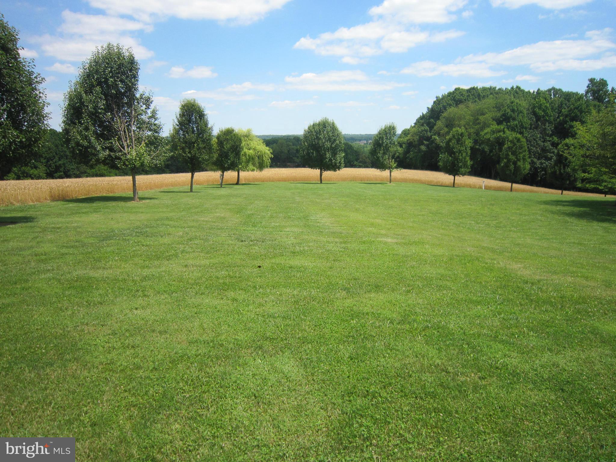 22701 Wildcat Road Germantown, MD 20876 - Photo 26 of 30 Gorgeous view of rear yard
